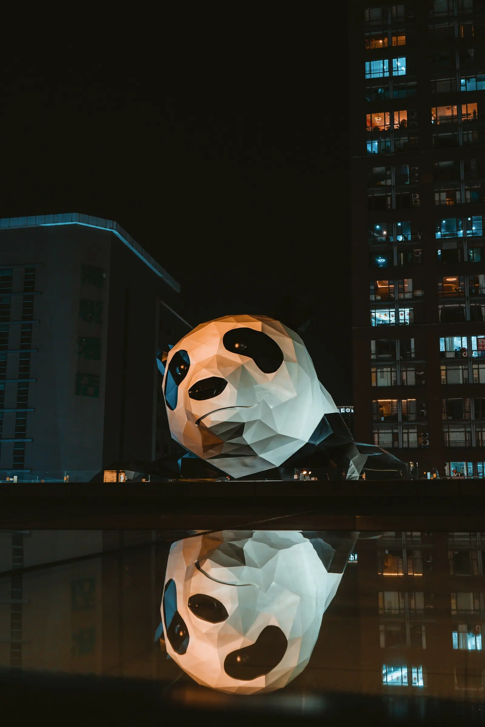 夜里一座熊猫形的大型雕塑,倒影落在水里