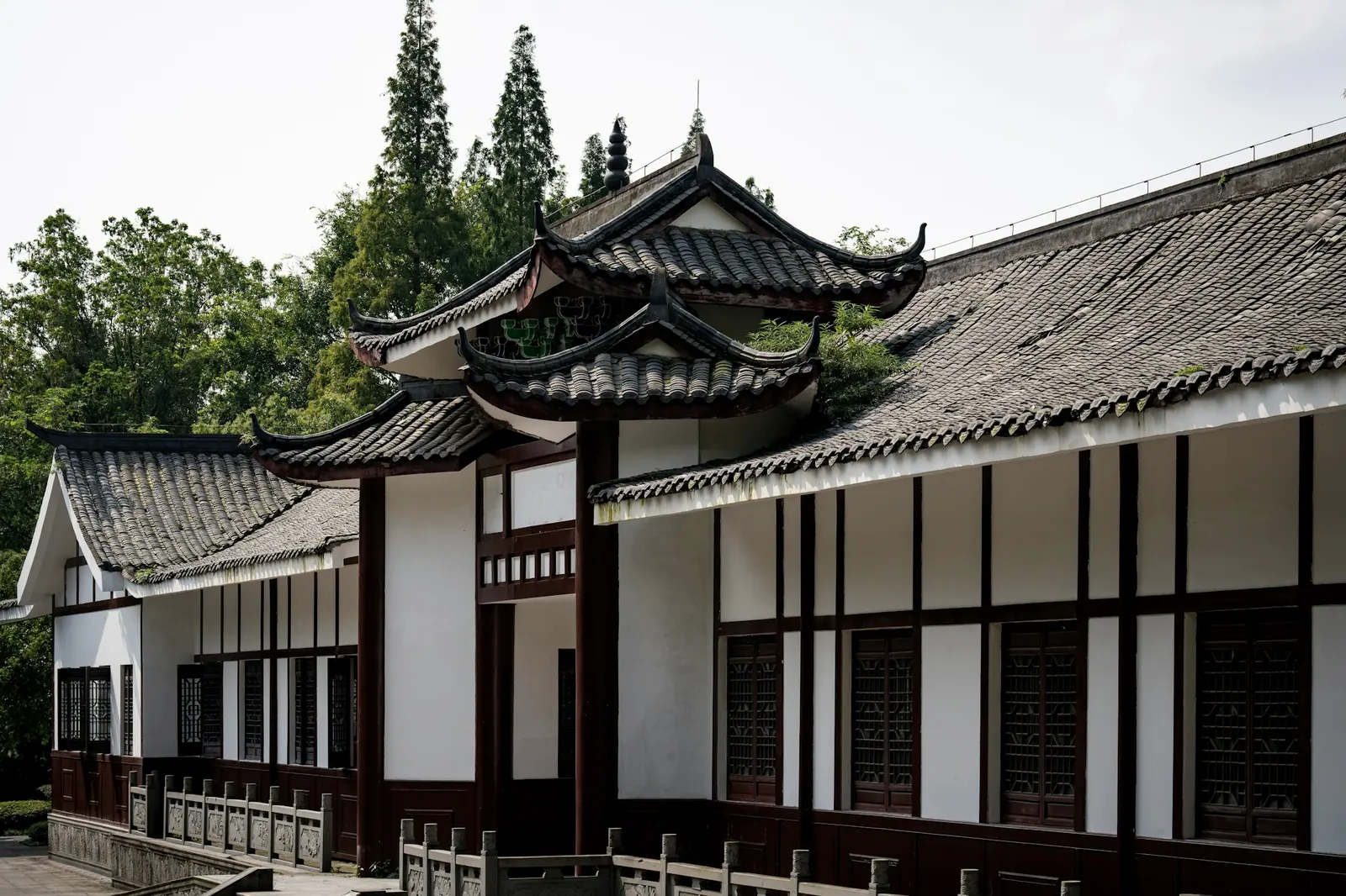 山坡下一栋川西样式的老房子,白墙黑木,屋檐层层叠叠
